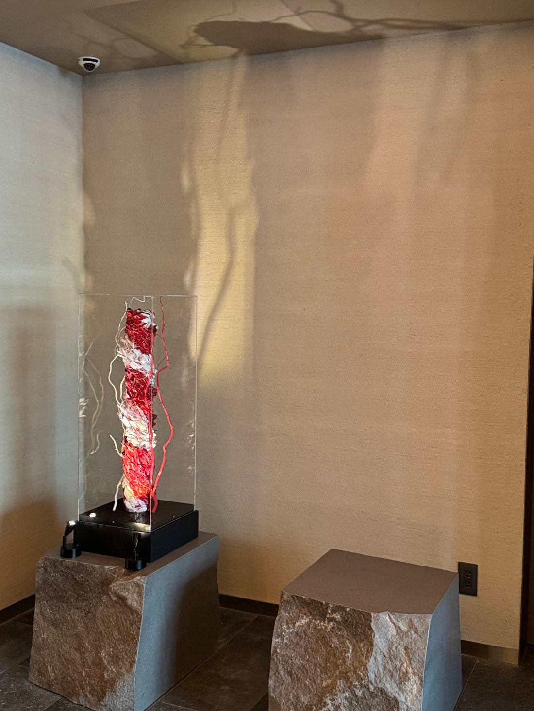Yoko Ichikawa