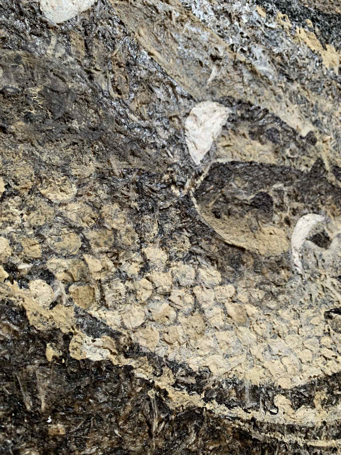 綾海｜Ayami（山口県下関市）