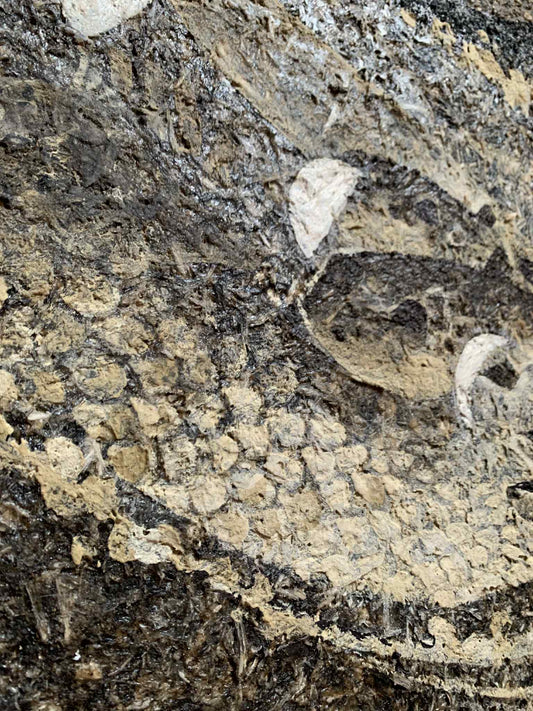 綾海｜Ayami（山口県下関市）